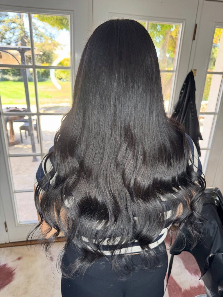 Long, glossy dark brown hair with shiny waves viewed from the back.